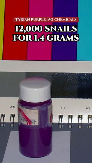 Watch: Tyrian Purple: How Phoenicians Made It Without Chemicals